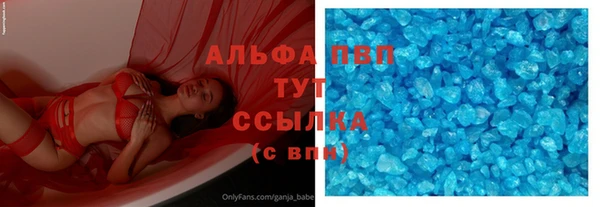 крисы Абаза