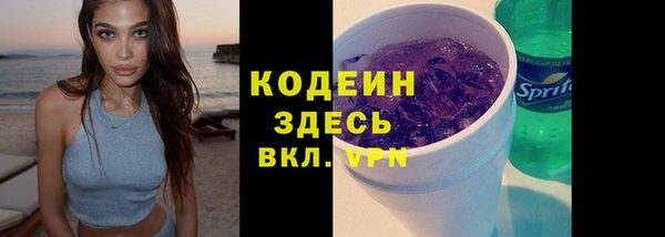 крисы Абаза