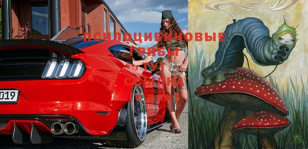 крисы Абаза